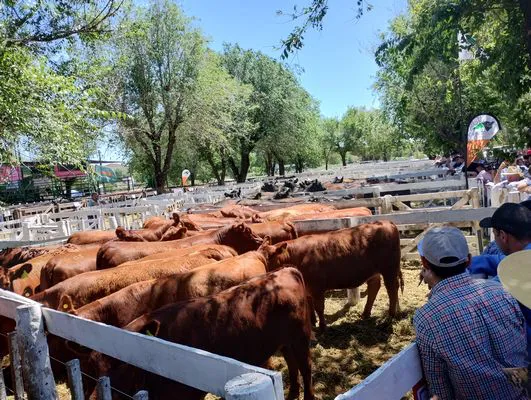 tn_IMG_20241026_123441521_HDR