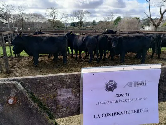 tn_IMG_20240625_115234653_HDR