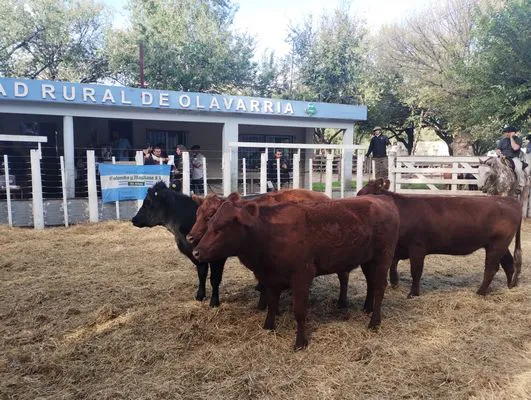 tn_IMG_20250409_164515482