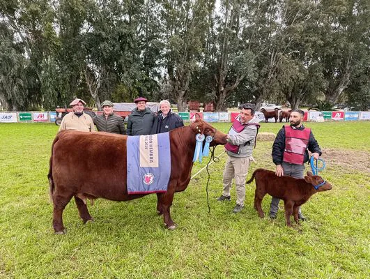 GC3