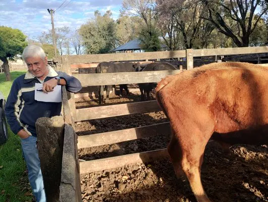 tn_IMG_20250505_163212289_HDR