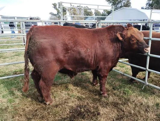 tn_IMG_20240815_114219194