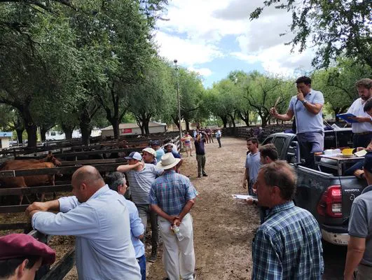 tn_IMG_20240221_122847263