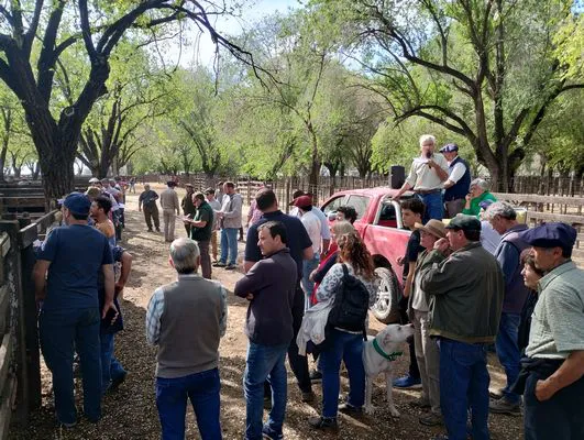 tn_IMG_20241008_154618574_HDR