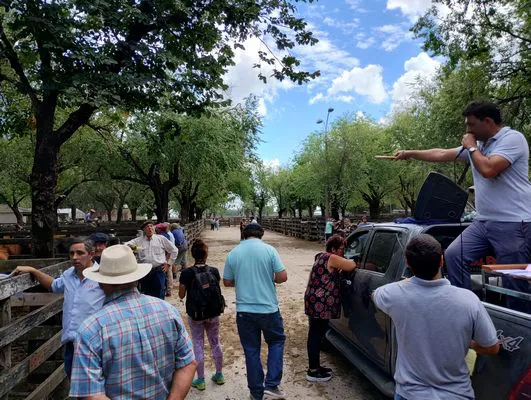 tn_IMG_20240221_124743309_HDR