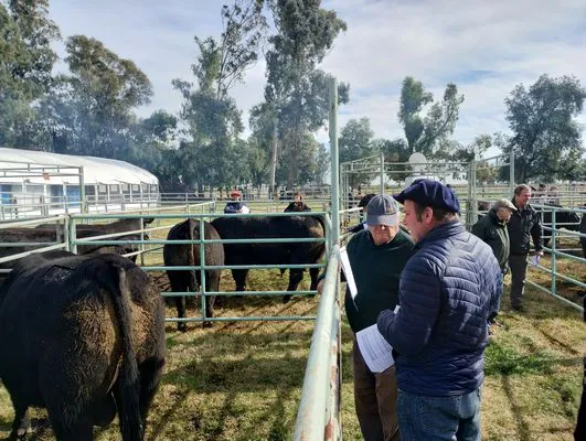 tn_IMG_20240815_112317424_HDR