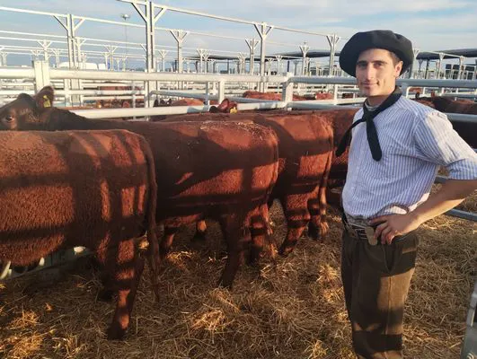 tn_IMG_20250604_170231634