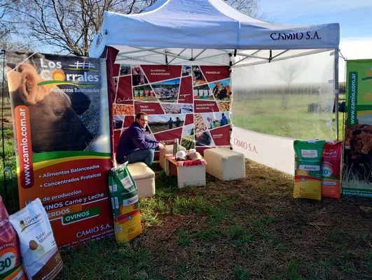 tn_IMG_20240611_095824302_HDR1