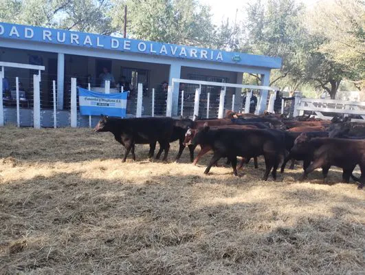 tn_IMG_20250409_160041754