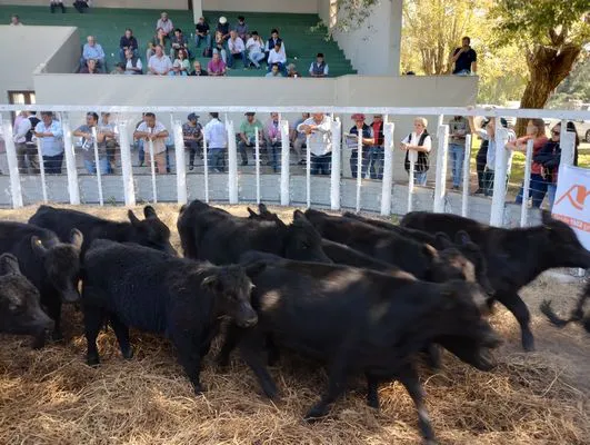 tn_IMG_20240326_144526225_HDR