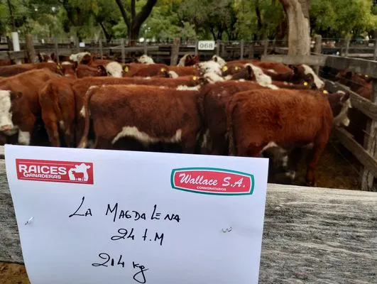 tn_IMG_20240411_145803539_HDR