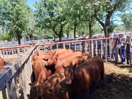 tn_IMG_20241026_115204650_HDR