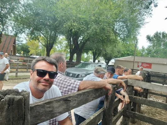 tn_IMG_20250116_150416554_HDR