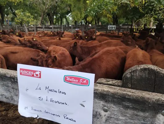 tn_IMG_20250404_155504855