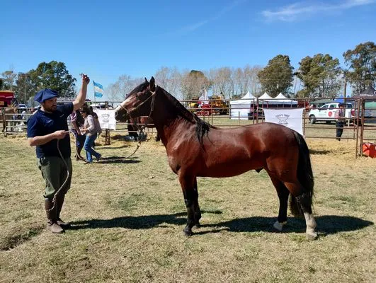 tn_IMG_20240908_124346416_HDR