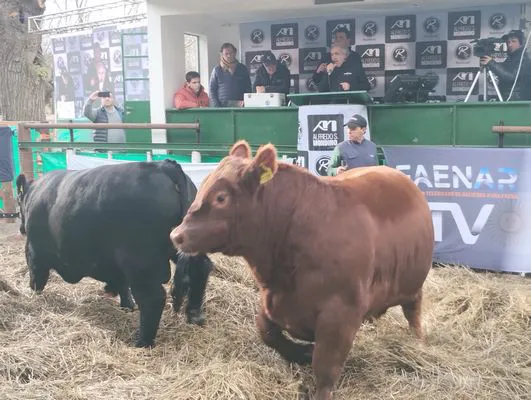 tn_IMG_20240625_143137601