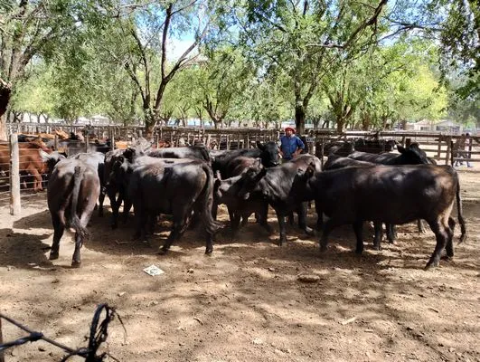 tn_IMG_20240216_155146578_HDR