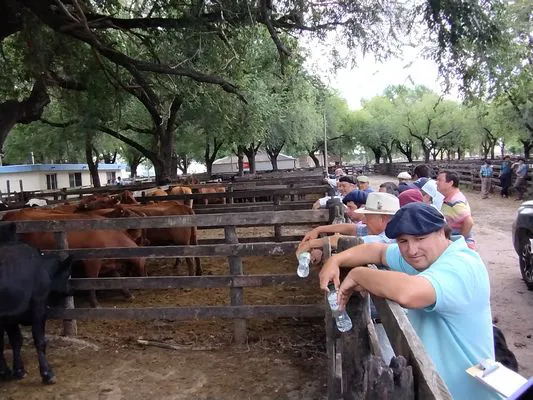 tn_IMG_20240221_122625750