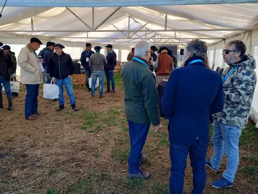 tn_IMG_20240611_101055157_HDR