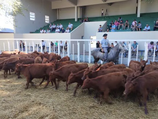 tn_IMG_20240214_164652781