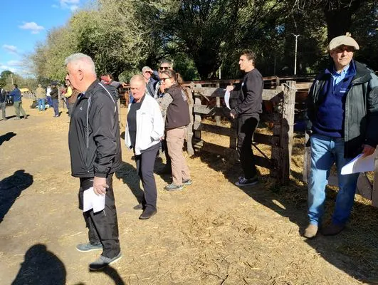 tn_IMG_20240502_145925425_HDR