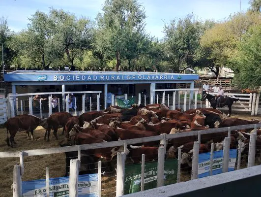 tn_IMG_20250321_165558662_HDR