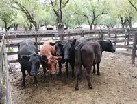 tn_IMG_20240216_150711755