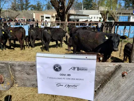 tn_IMG_20240907_120457562_HDR