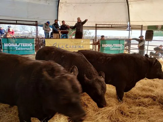 tn_IMG_20240711_155647054_HDR