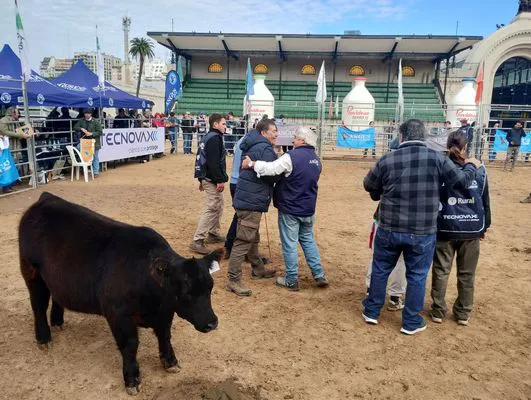 tn_IMG_20250521_121921644_HDR