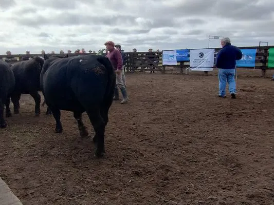 tn_IMG_20240409_101213627_HDR