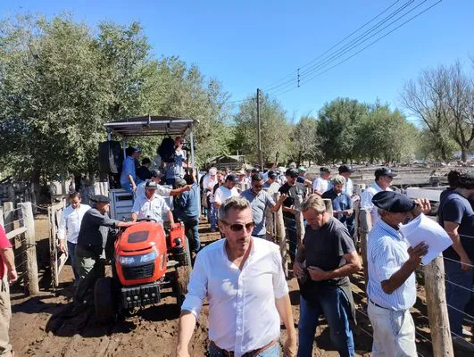 tn_DESTETES DEL NATURAL3