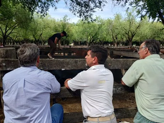 tn_IMG_20250116_152907587_HDR