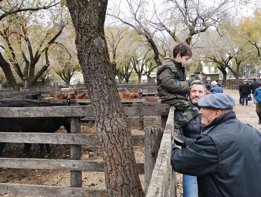 tn_IMG_20240529_125343266