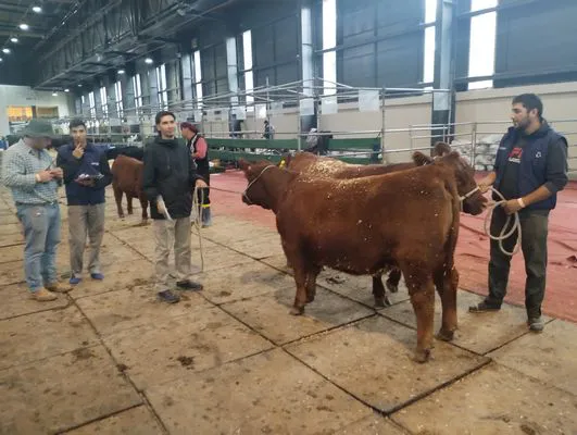 tn_IMG_20250519_101710035