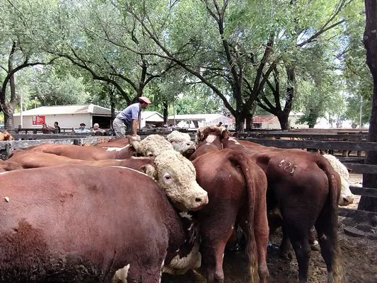 tn_IMG_20240221_125304815