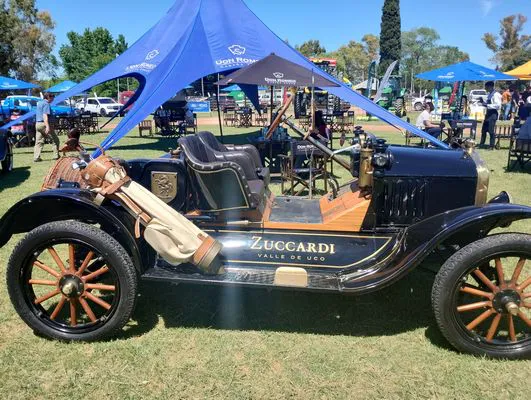 tn_IMG_20241018_121343305_HDR