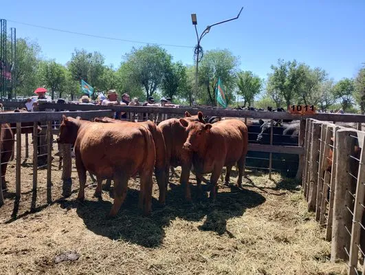 tn_IMG_20241026_113657910_HDR