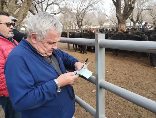 tn_IMG_20240718_155415842