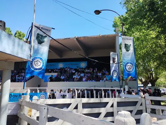 tn_IMG_20241018_142429782