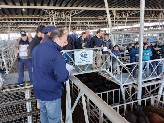 tn_IMG_20240916_102404050_HDR