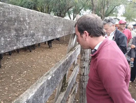 tn_IMG_20250425_161551634