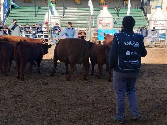 tn_IMG_20250521_102847376_HDR