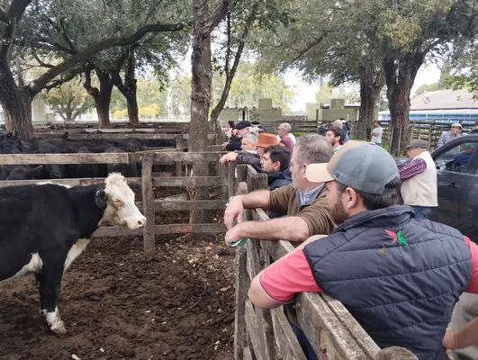 tn_IMG_20250425_154420733