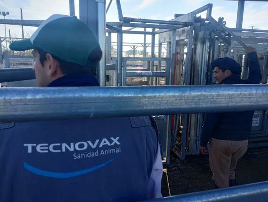 tn_IMG_20250604_143302430_HDR