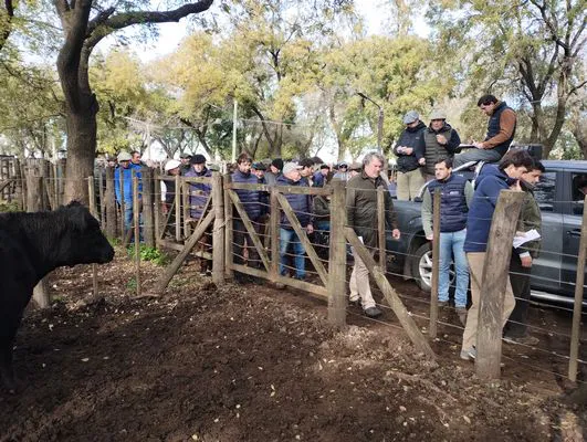 tn_IMG_20250611_114703146