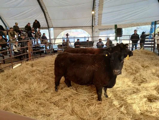 tn_IMG_20240711_162720929_HDR