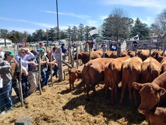 tn_IMG_20240912_135330428_HDR