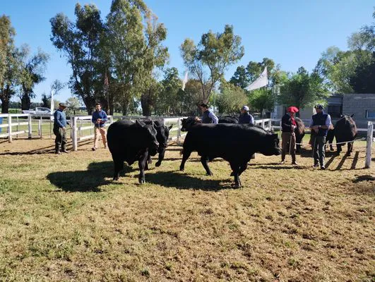 tn_IMG_20241002_100548287