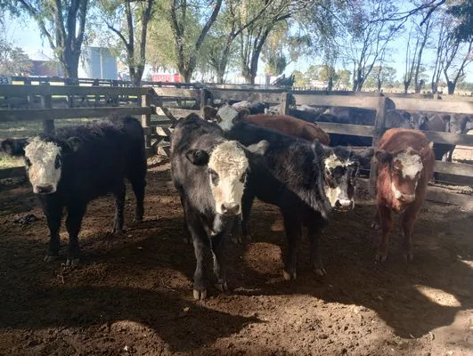 tn_IMG_20250505_125019366_HDR